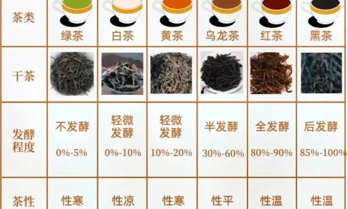 喝艾叶水能治什么病-艾叶水洗脸会让皮肤变黑吗-喝艾叶水能治什么病,中国喝艾叶能祛脸上水肿吗网站